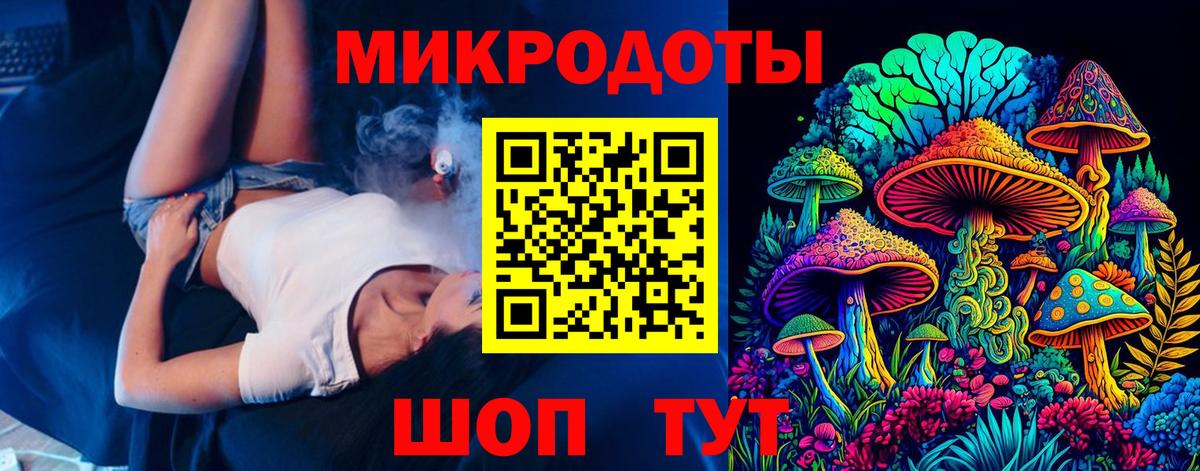 Псилоцибиновые грибы Psilocybe Заинск