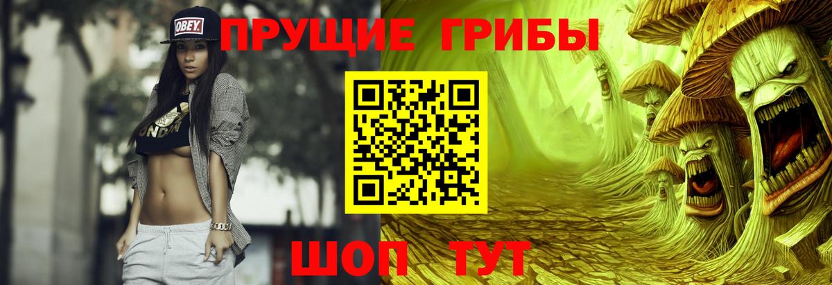 Заинск  Псилоцибиновые грибы MAGIC MUSHROOMS  Вход с VPN 